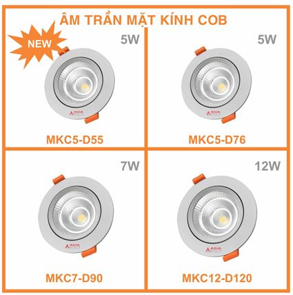 Sản phẩm mới tháng 08/2022 - Thông báo số 2