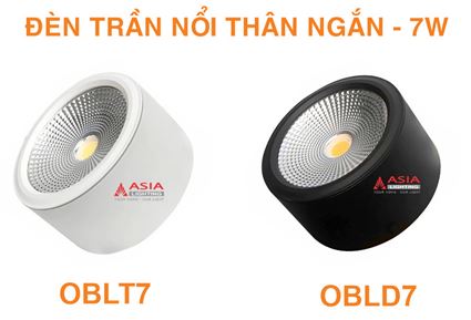 Sản phẩm mới tháng 10/2022 - Thông báo số 3