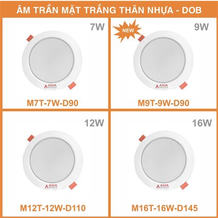 Sản phẩm mới tháng 10/2023 - Thông báo số 3