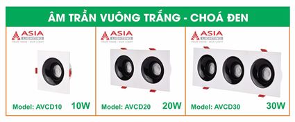 Sản phẩm mới tháng 10/2024 - Thông báo số 4