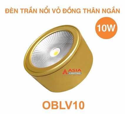 Sản phẩm mới tháng 03/2023 - Thông báo số 6