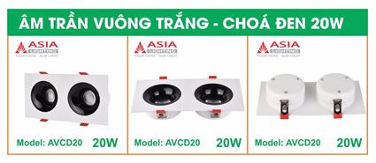 Âm trần vuông thân trắng - Chóa đen 20W