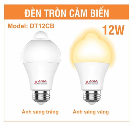 Đèn tròn cảm ứng 12W