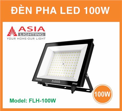 Đèn pha FLH100W