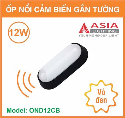 Ốp nổi cảm biến gắn tường vỏ đen - 12W
