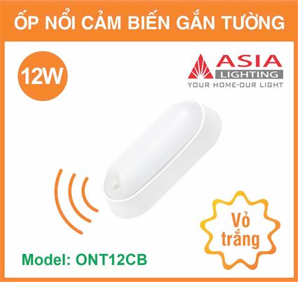ont12cb-01