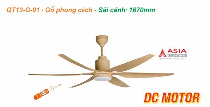 Quạt trần đèn cao cấp 6 cánh - sải cánh 1670 - QT13-G-01 - Gỗ phong cách