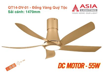 Quạt trần đèn cao cấp 05 cánh - QT14 - DC Motor