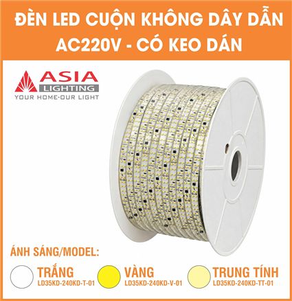 z8055916969734_e56469098530bc788e83e74d007e651d